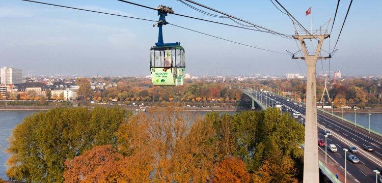 Gondel ber bunt gefrbten Bumen im Herbst